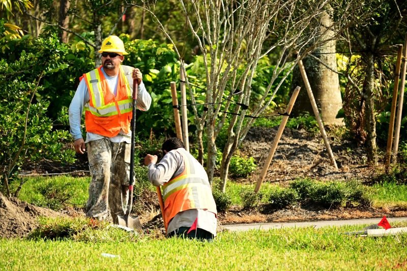 How to Hire a Landscaper Without Overpaying