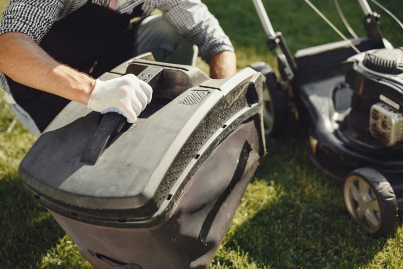 How Much Does Professional Lawn Care Cost?